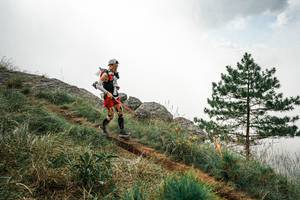 BIB: 
                            <button type="button" onclick="openModal(25992745)" class="btn btn-primary btn-sm float-right btn-popup" data-toggle="modal" data-target=".modal-high-quality">
                        <i class="fas fa-shopping-cart"></i> Add to Cart
                    </button>
                                            <button type="button" onclick="isThisMe(25992745, true)" class="btn btn-success btn-sm float-right btn-popup btn-isme hidden" data-toggle="tooltip" data-placement="bottom" title="นี่คือรูปของคุณใช่ไหม คลิกที่นี่เพื่อเอาเข้าอัลบั้ม">
                        <i class="fas fa-plus"></i> Add to album
                    </button>
                    <button type="button" onclick="isThisMe(25992745, false)" class="btn btn-warning btn-sm float-right btn-popup btn-isnotme hidden">
                        <i class="fas fa-ban"></i> Remove from album
                    </button>